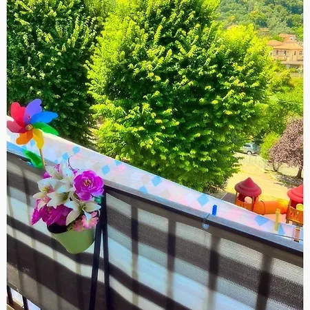 Tatil Evi Dodo House *